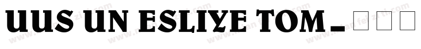 UUS UN ESLIYE TOM字体转换